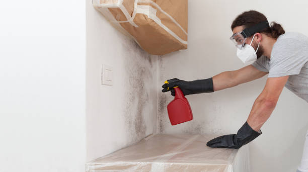 Professional Hvac And Air Duct Mold Remediation technician working in Flagtown, NJ